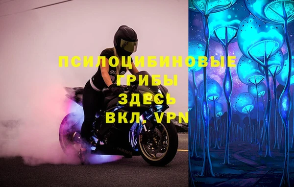 стафф Балабаново